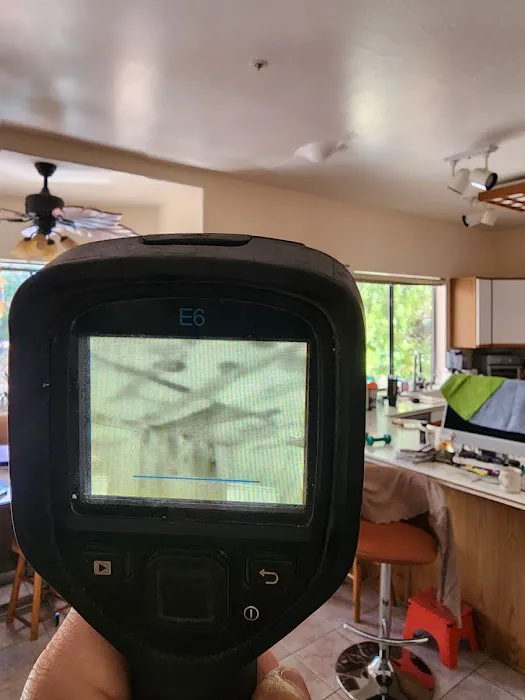 Restoration By Emergency Flood Team Picture 4