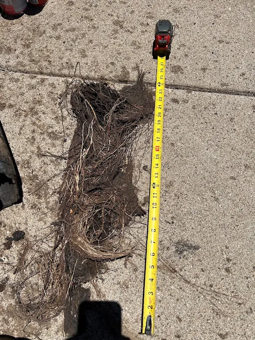 Endivo Plumbing Picture 4