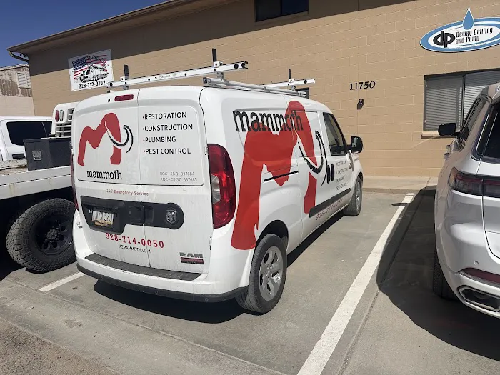 Mammoth Restoration | Prescott Picture 6