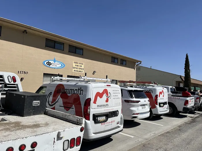 Mammoth Restoration | Prescott Picture 7