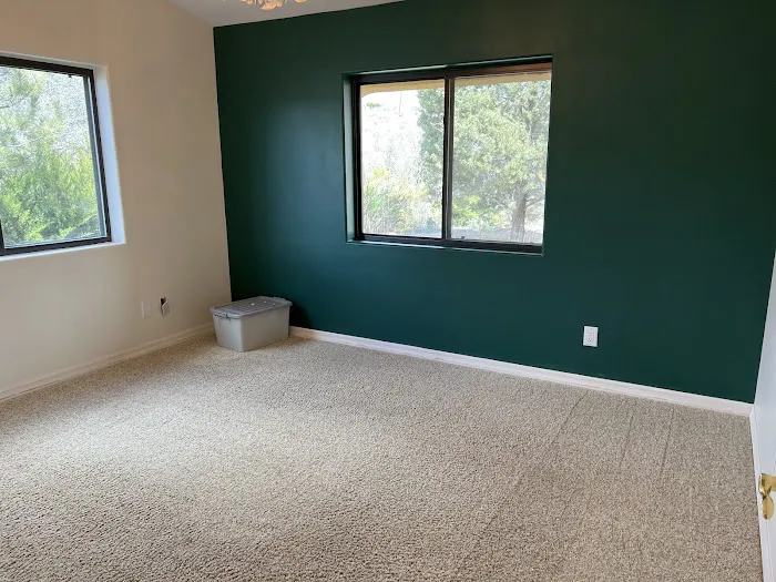 Stanley Steemer Picture 8