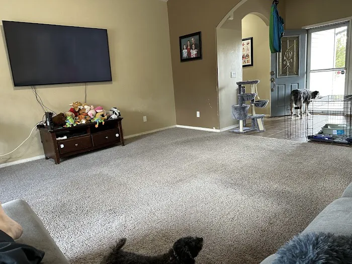 Stanley Steemer Picture 7