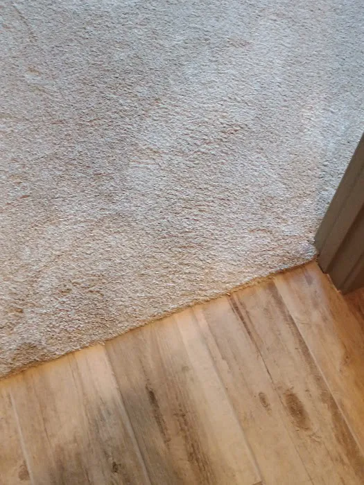 Stanley Steemer Picture 1