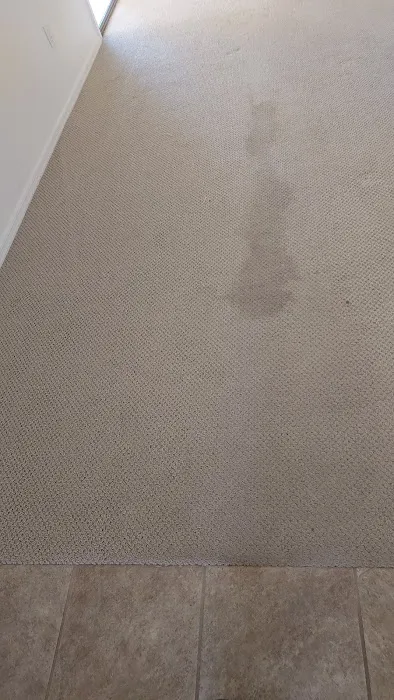 Stanley Steemer Picture 6