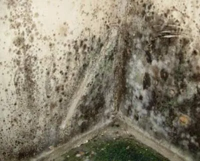 ACI-TECH Inc. Picture 6