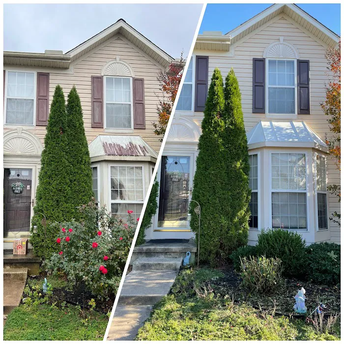 ProDeckRestore.com Picture 6