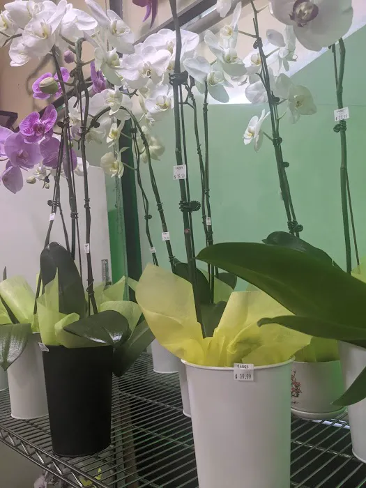 ServiceDry 24 Picture 1