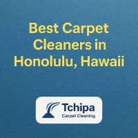 Tchipa Carpet Cleaning LLC ico