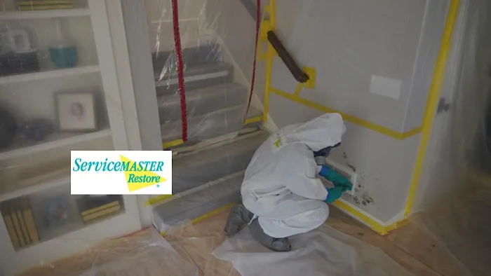 ServiceMaster Fire & Water Restoration by Rapid Response Picture 4