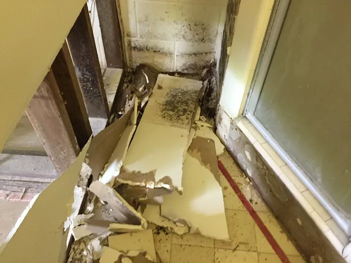 SERVPRO of Kailua Picture 3