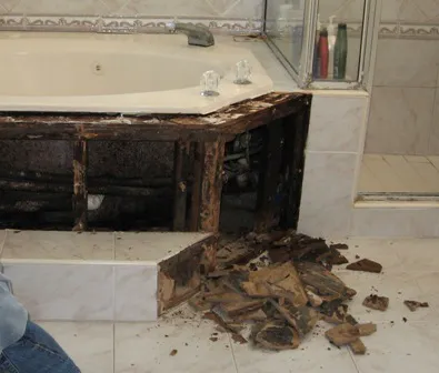 Asset Environmental | Mold & Meth Inspection, Testing, Remediation, Cleanup Picture 6