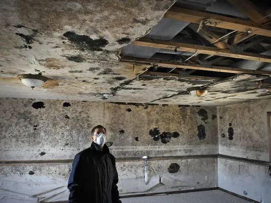 Asset Environmental | Mold & Meth Inspection, Testing, Remediation, Cleanup Picture 1