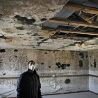 Asset Environmental | Mold & Meth Inspection, Testing, Remediation, Cleanup ico