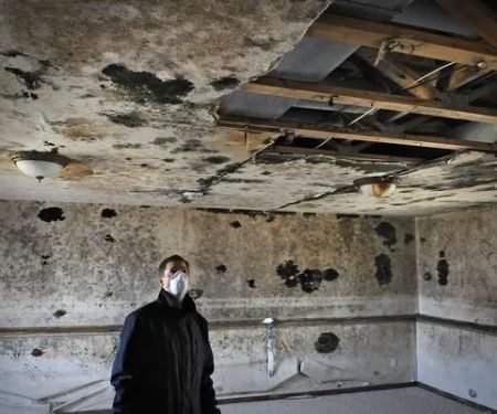 Asset Environmental | Mold & Meth Inspection, Testing, Remediation, Cleanup