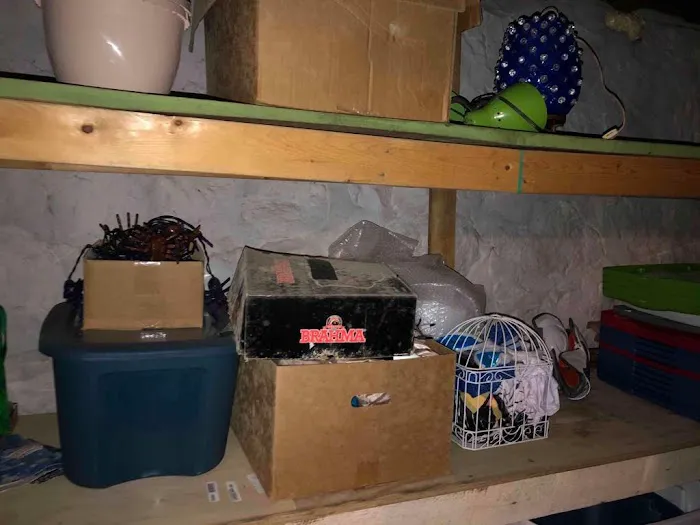 Flood Pros USA Picture 4