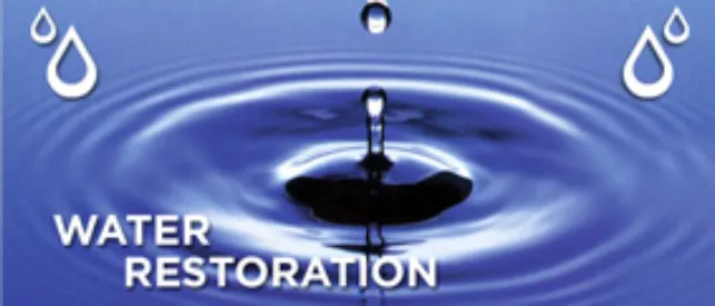 Classic Carpet Care & Restoration Picture 1