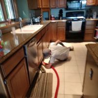 Clean As Can Be Services ico