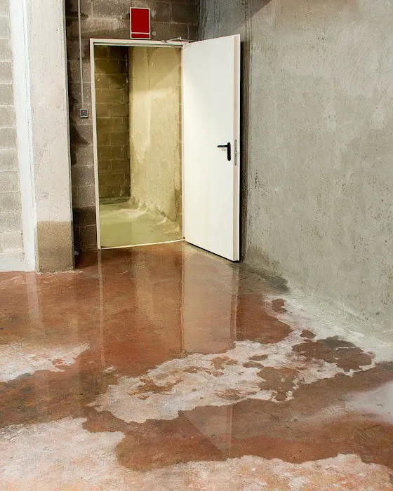 NorthStar Restoration Services Picture 10