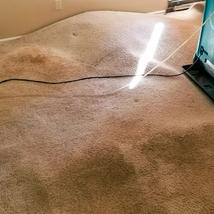 NorthStar Restoration Services Picture 9