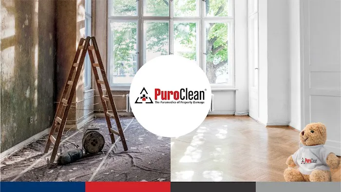 PuroClean Disaster Restoration Professionals Picture 1