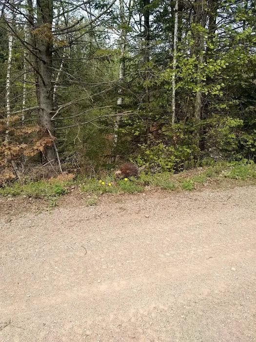 PuroClean Disaster Restoration Professionals Picture 4