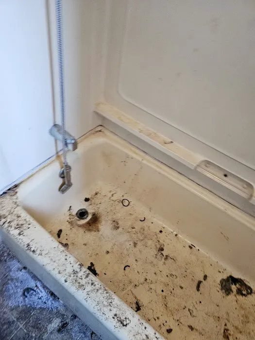 Duraclean Specialists Picture 8