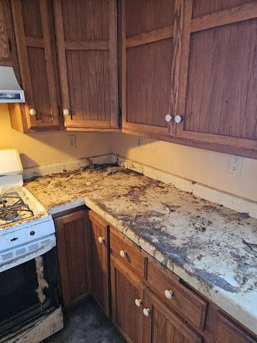 Duraclean Specialists Picture 1