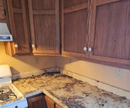 Duraclean Specialists