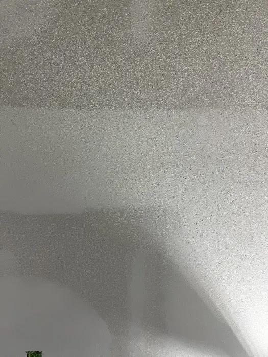 Blue Steel Drywall and Painting Picture 3