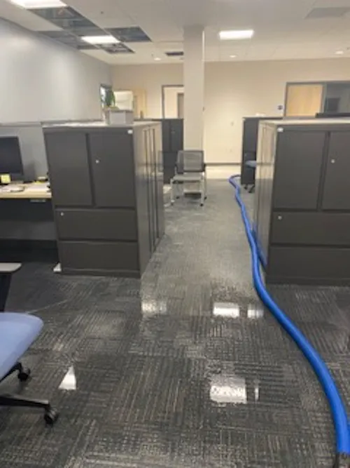 Superior Cleaning & Restoration Picture 6