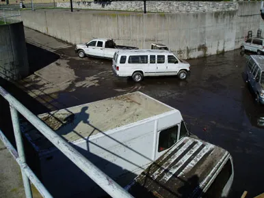 Certified Professional Picture 3