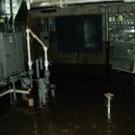 Certified Professional