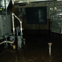 Certified Professional ico