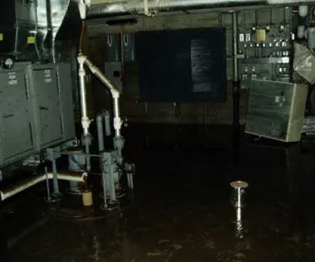 Certified Professional