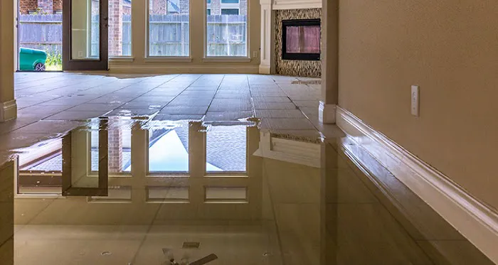 The Restoration Experts Picture 9