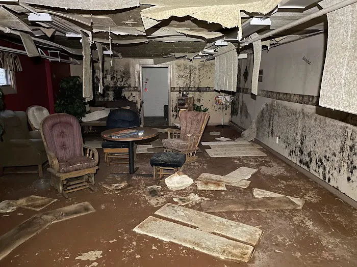 The Restoration Experts Picture 6