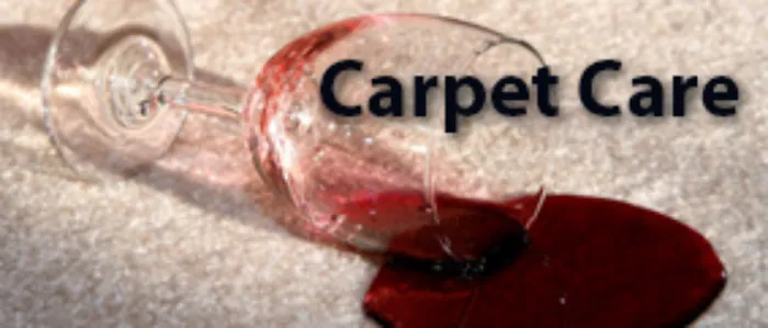 Classic Carpet Care & Restoration Picture 7