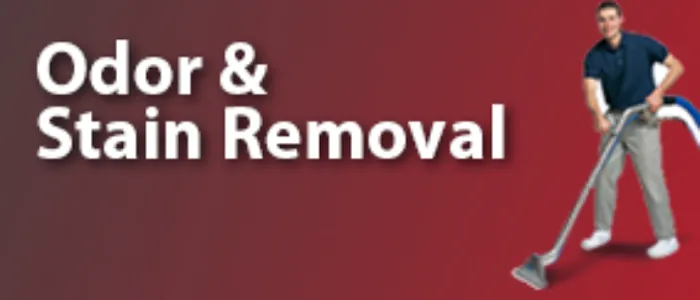 Classic Carpet Care & Restoration Picture 5