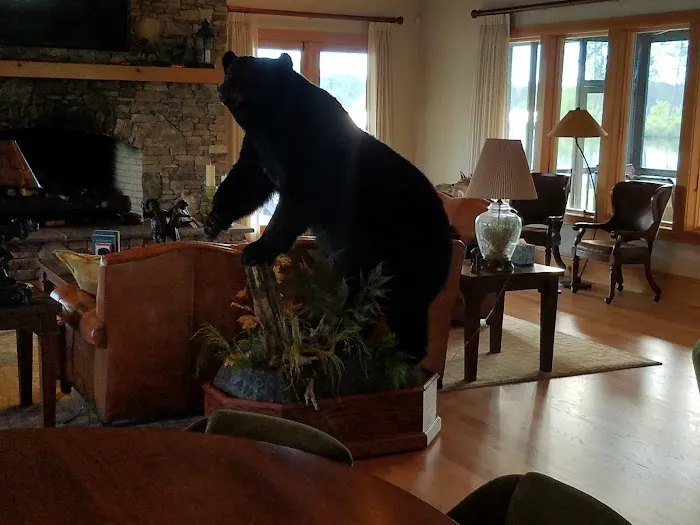 Magic Touch Painting Picture 6