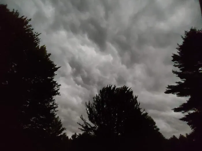 ServiceMaster of Clark and Jackson County Picture 1