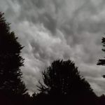 ServiceMaster of Clark and Jackson County