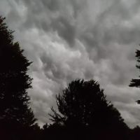 ServiceMaster of Clark and Jackson County ico