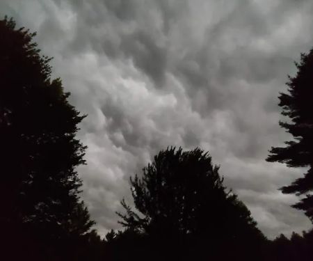 ServiceMaster of Clark and Jackson County