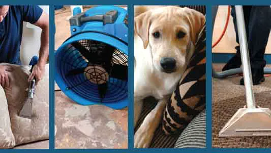 Central Wisconsin Steam Way Picture 4