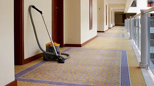 Master Clean Picture 3