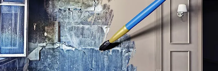 Master Clean Picture 2