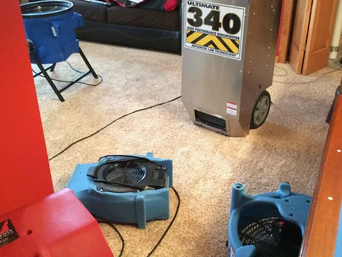 Master Clean Picture 4