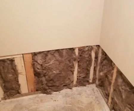 ServiceMaster Services