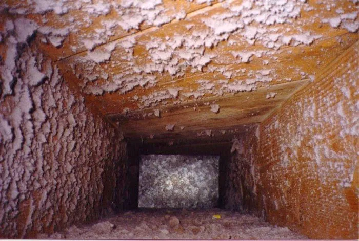 Schmidtke's Cleaning Services LLC Picture 2