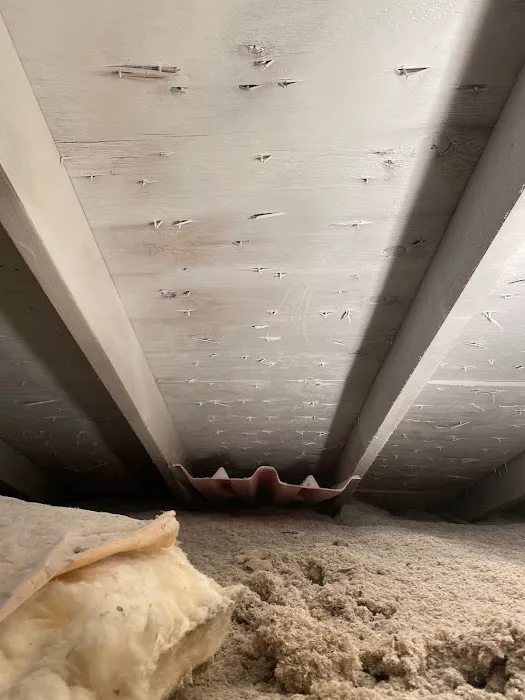 Kanndo Professional Services Picture 2